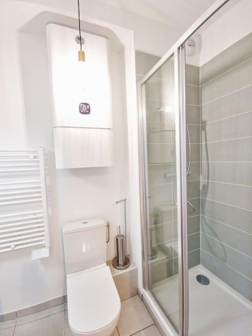 Studio Calme Et Lumineux - Ascenceur - Gare -Metro Apartamento Toulouse Exterior foto